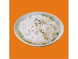 冷凍白飯（個人份 170g）